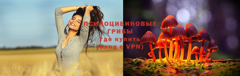 Псилоцибиновые грибы Psilocybe  Энем 